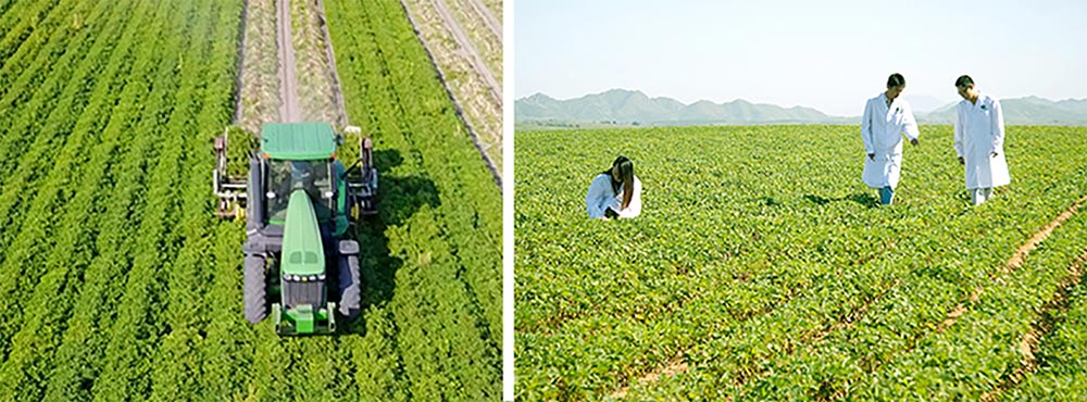 遼寧正業(yè)花生產(chǎn)業(yè)：共抗疫情，龍頭企業(yè)顯擔(dān)當(dāng)！(圖3)