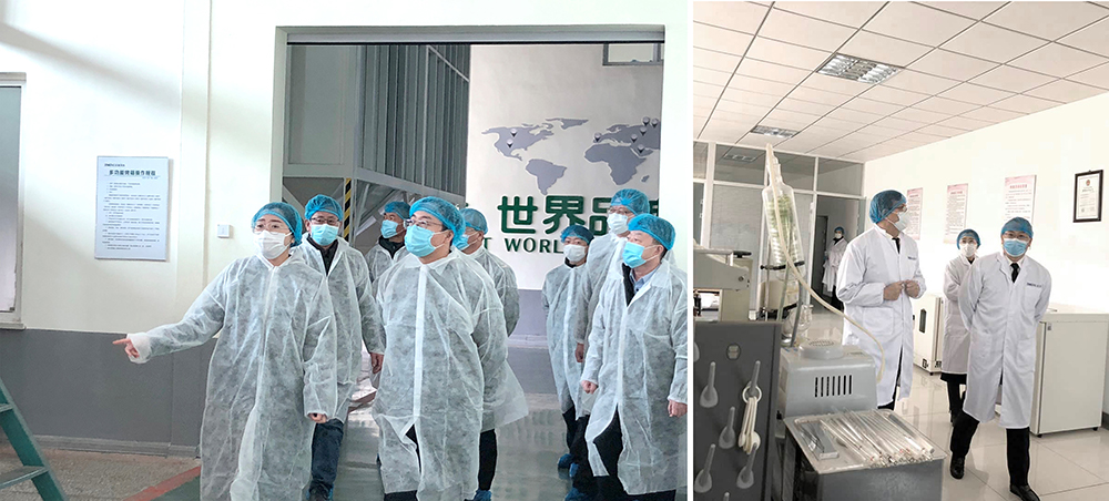 葫蘆島、興城兩市領導蒞臨正業(yè)花生產(chǎn)業(yè)調(diào)研指導(圖1)