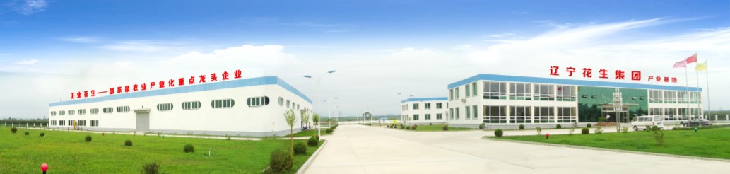 葫蘆島市委常委、副市長張明謙蒞臨遼寧花生集團考察指導(dǎo)(圖3)
