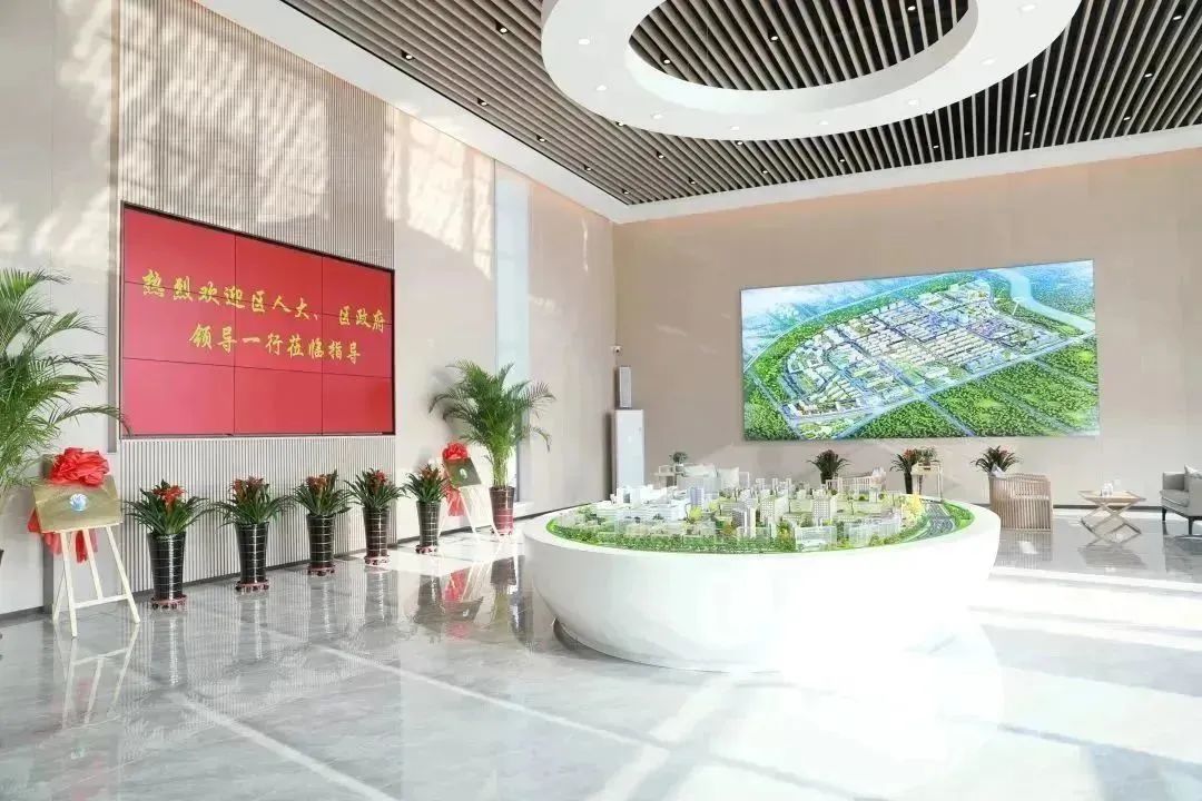 龍港區(qū)人大、區(qū)政府領(lǐng)導(dǎo)一行視察調(diào)研龍港國(guó)際醫(yī)療健康產(chǎn)業(yè)園(圖2)